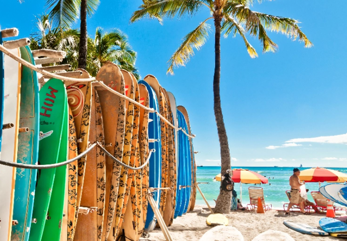 Listing Taxonomy Image